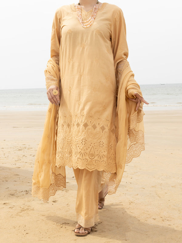 Khaki Schiffli Lawn 3Pc Stitched - ALP-3PS-2183